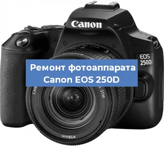 Замена объектива на фотоаппарате Canon EOS 250D в Екатеринбурге
